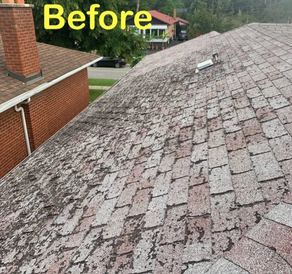 Full shingle re-roof, Toronto — before